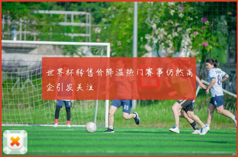 世界杯转售价降温热门赛事仍然高企引发关注